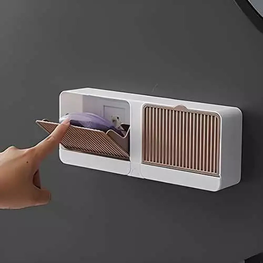 Wall mounted soap box