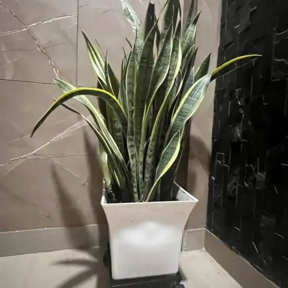 Wheel pot stand – pack of 1